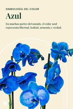 blue flowers with the words azul in spanish