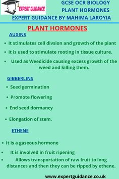 an info sheet describing plant homos and other things to see in the text below