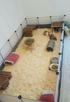 a room filled with lots of different types of animals