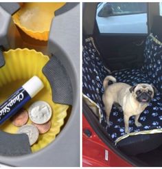 a small pug dog standing in the back seat of a car next to a cup holder filled with coins