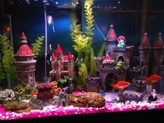 a fish tank filled with lots of different types of plants and animals on top of it