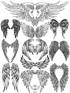 an image of angel wings in different styles and shapes on a white background stock photo