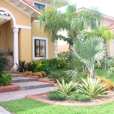 a house with landscaping and palm trees in the front yard