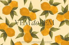 an orange pattern with the words vem do bem