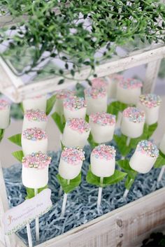 cake pops with sprinkles and green leaves on them in a glass box