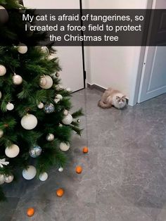 a cat laying on the floor next to a christmas tree