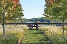 an open gate in the middle of a field with tall grass and trees around it