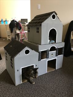 a cat is laying on the floor in front of a house made out of cardboard