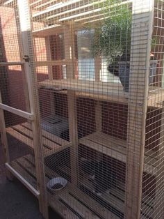 the caged animals are waiting for their owners to come home