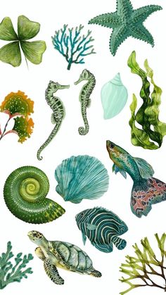 various sea animals and plants are depicted in this watercolor painting