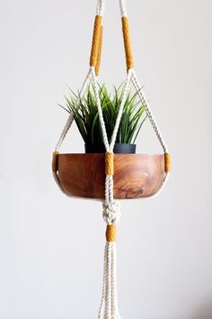 a potted plant is hanging from a rope