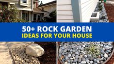 some rocks and plants in front of a house with the words 50 + rock garden ideas for your house