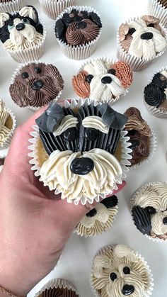 a hand holding a cupcake in front of a bunch of cupcakes with dogs on them