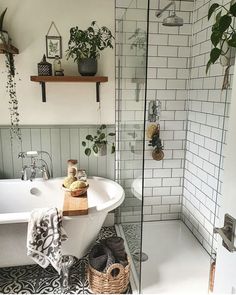 a white bath tub sitting next to a shower with plants on the shelves above it