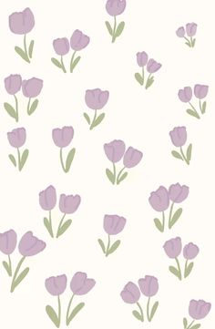 purple flowers are arranged in rows on a white background