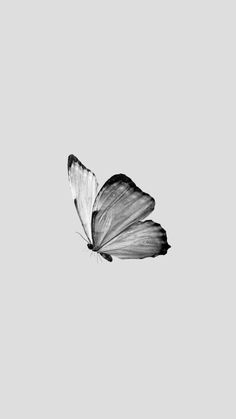 a black and white photo of a butterfly flying in the air with its wings spread out