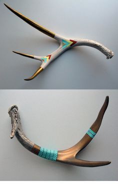 two pictures of the same animal's teeth with different colors and shapes on them