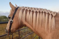 a brown horse with long blonde hair and braids on it's head standing in front of a fence