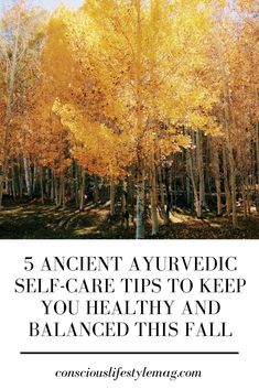 Fall Ayurveda Recipes, Fall Ayurveda, Autumn Wellness, Kapha Dosha, Archangel Jophiel