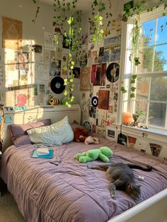 a cat laying on top of a bed in a room with plants hanging from the ceiling