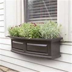 a window box filled with plants on the side of a house