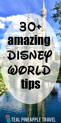 the disney world castle with text overlay that reads, 30 amazing disney world tips