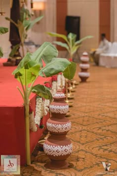 a row of vases filled with plants on top of a red cloth covered table