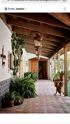 an outdoor walkway with potted plants on either side and hanging lights over the entrance