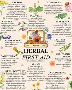 Herbal First Aid Poster High quality resin-coated photo base paper. Satin photo finish, maximum color gamut, dmax, and image resolution Herbs For Beginner Herbalist, Topical Herbal Remedies, Herbal Drawings Botanical Prints, Herbal Remedy Recipes, Herbal Nervines, Herbs For Medicine, Herbs For Lungs, Herbs For Women, Herbs For Skin