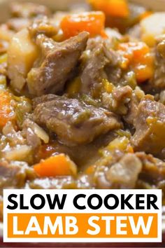 slow cooker lamb stew with carrots and celery in a white bowl