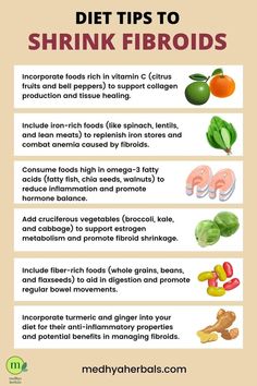 Bladder-Rebalancing Fibroid Diet, Fibroid Uterus, Fibroid Surgery, Brain Boosting Foods, Fibroid Tumors, Low Estrogen Symptoms, Urinary Health, Bladder Control, Menstrual Health