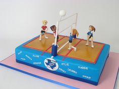 a cake made to look like a volleyball court with people on it and the ball in the air