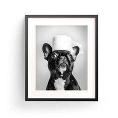 a black and white photo of a dog wearing a hat