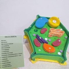 a green and yellow plastic toy with buttons on it's side next to a sign