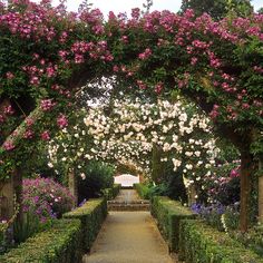 a garden with pink and white flowers on the arbors that says, be truly glad there's a wonderful joy ahead