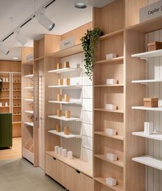 an empty store with wooden shelves and plants on the shelfs in front of them