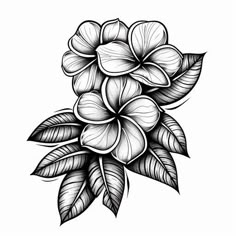 Vibrant Plumeria Tattoo Design Pack Hawaii Flower Tattoos, Plumeria Flower Tattoos, Tropical Flower Tattoos, Hawaiian Flower Tattoos, Plumeria Tattoo, American Traditional Tattoo Ideas, Traditional Tattoo Ideas, Beginner Tattoos, Doodle Art Flowers