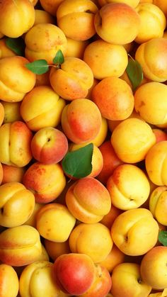 a pile of peaches with green leaves on the top and yellow ones in the middle