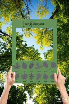 someone holding up a leaf spotter poster in front of some trees and the sky