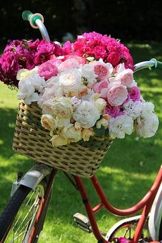 a basket full of flowers sitting on the back of a bicycle