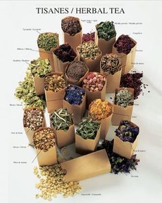 a poster with many different types of teas in it's cardboard boxes and labeled their names