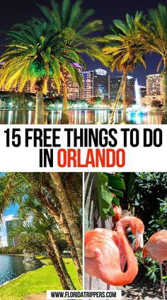 15 Free Things To Do In Orlando Things To Do Orlando, Orlando Florida Vacation, Things To Do In Orlando, Florida Attractions, Travel Florida, Lake Eola, Visit Orlando, Seaworld Orlando