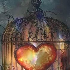 a heart in a birdcage with fire coming out of it's side