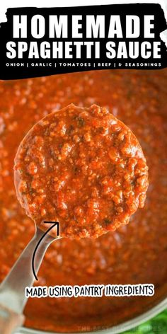 homemade spaghetti sauce in a pot with a ladle full of it and labeled ingredients