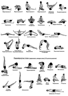 an image of people doing yoga poses