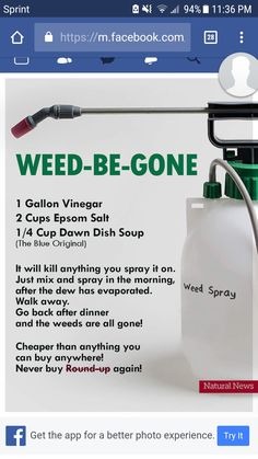 Killing Weeds, Garden Remedies, Vegetable Garden Diy, Garden Weeds, Home Vegetable Garden, Garden Yard Ideas, Epsom Salt, Veggie Garden, Lawn And Garden