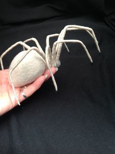 a hand holding a fake white spider on a black background