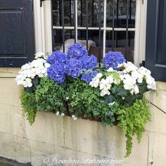 blue and white flowers in a window box