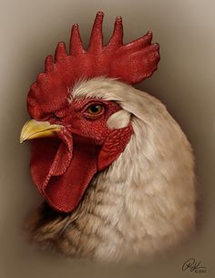 a close up of a rooster's head with a brown and white background in the foreground