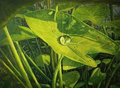 a painting of green leaves with drops of water on the leafy plant in the foreground